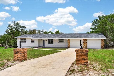 Photo of 12071 Deep Creek Drive, Spring Hill, FL 34609 (MLS # S5150913)