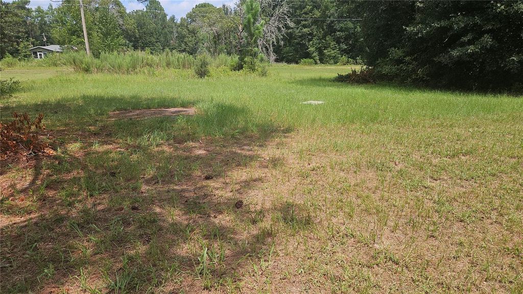 Photo of 5327 NW 11th Street, Ocala, FL 34482 (MLS # O6398126)