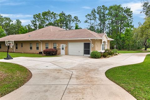 Tiny photo for 4052 N Mayan Drive, Hernando, FL 34442 (MLS # OM723594)