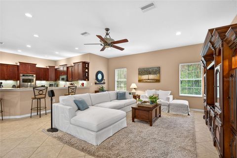Tiny photo for 4052 N Mayan Drive, Hernando, FL 34442 (MLS # OM723594)