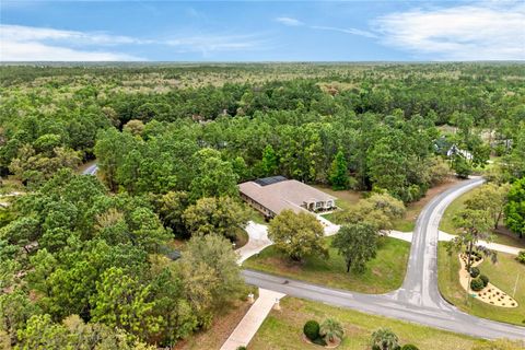 Tiny photo for 4052 N Mayan Drive, Hernando, FL 34442 (MLS # OM723594)