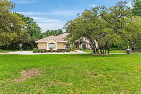 Tiny photo for 4052 N Mayan Drive, Hernando, FL 34442 (MLS # OM723594)