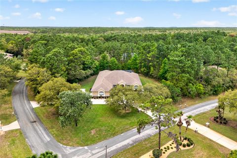 Tiny photo for 4052 N Mayan Drive, Hernando, FL 34442 (MLS # OM723594)