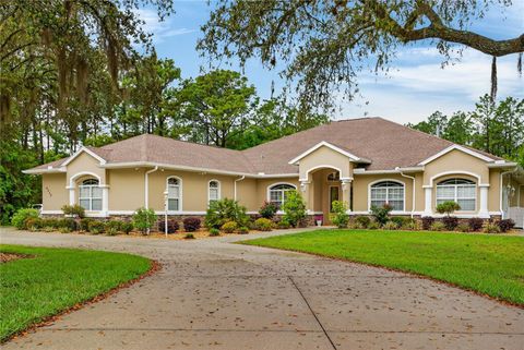 Tiny photo for 4052 N Mayan Drive, Hernando, FL 34442 (MLS # OM723594)