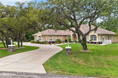 Tiny photo for 4052 N Mayan Drive, Hernando, FL 34442 (MLS # OM723594)