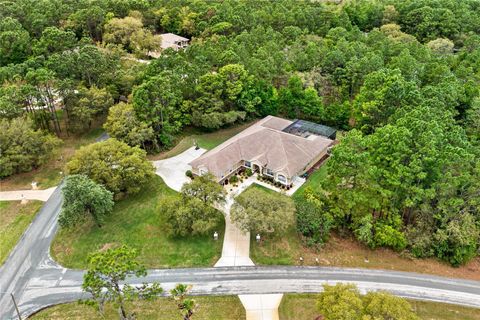 Tiny photo for 4052 N Mayan Drive, Hernando, FL 34442 (MLS # OM723594)