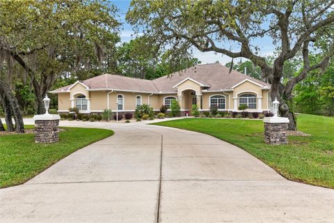 Tiny photo for 4052 N Mayan Drive, Hernando, FL 34442 (MLS # OM723594)