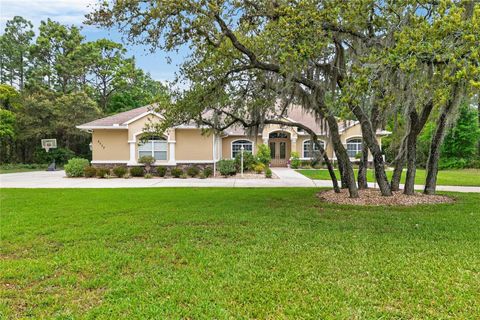 Tiny photo for 4052 N Mayan Drive, Hernando, FL 34442 (MLS # OM723594)