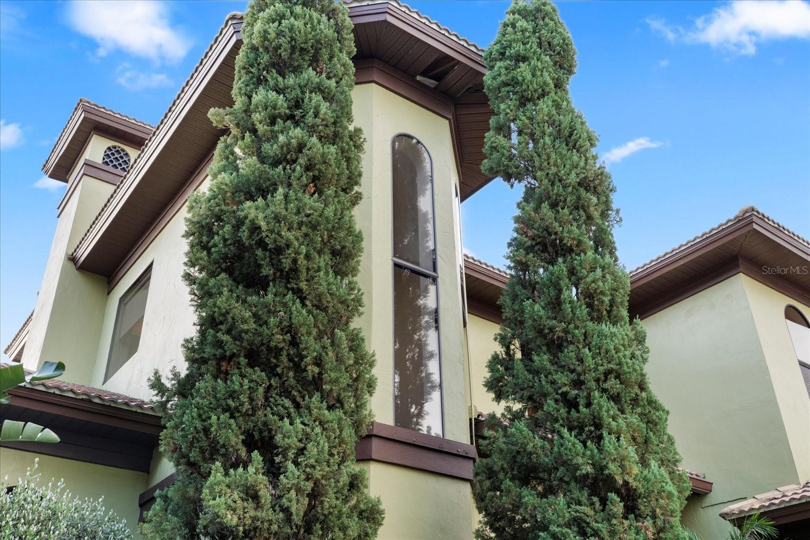 THE RESERVE OF OLD TAMPA BAY - Residential