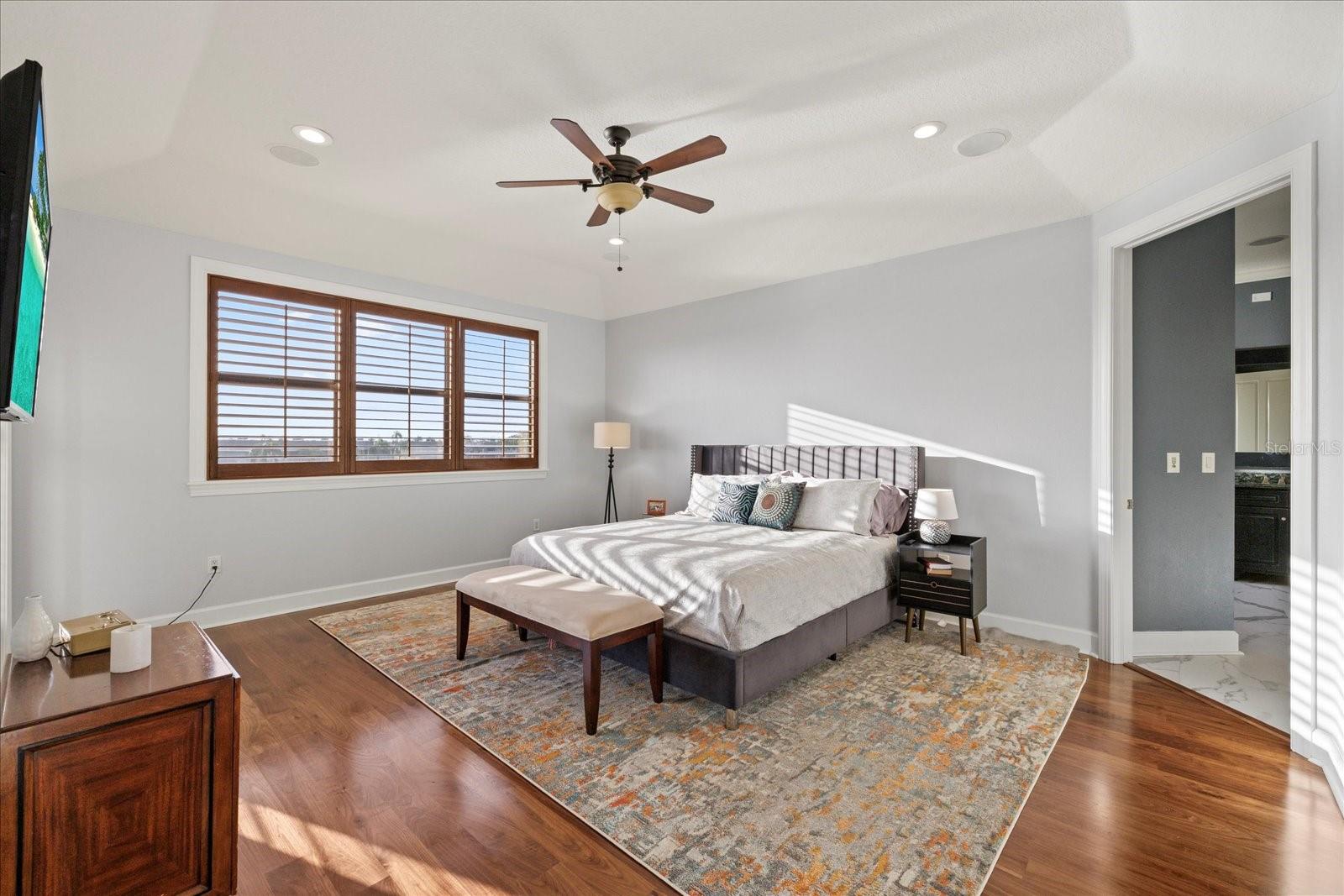 THE RESERVE OF OLD TAMPA BAY - Residential