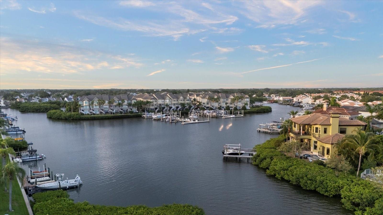 THE RESERVE OF OLD TAMPA BAY - Residential