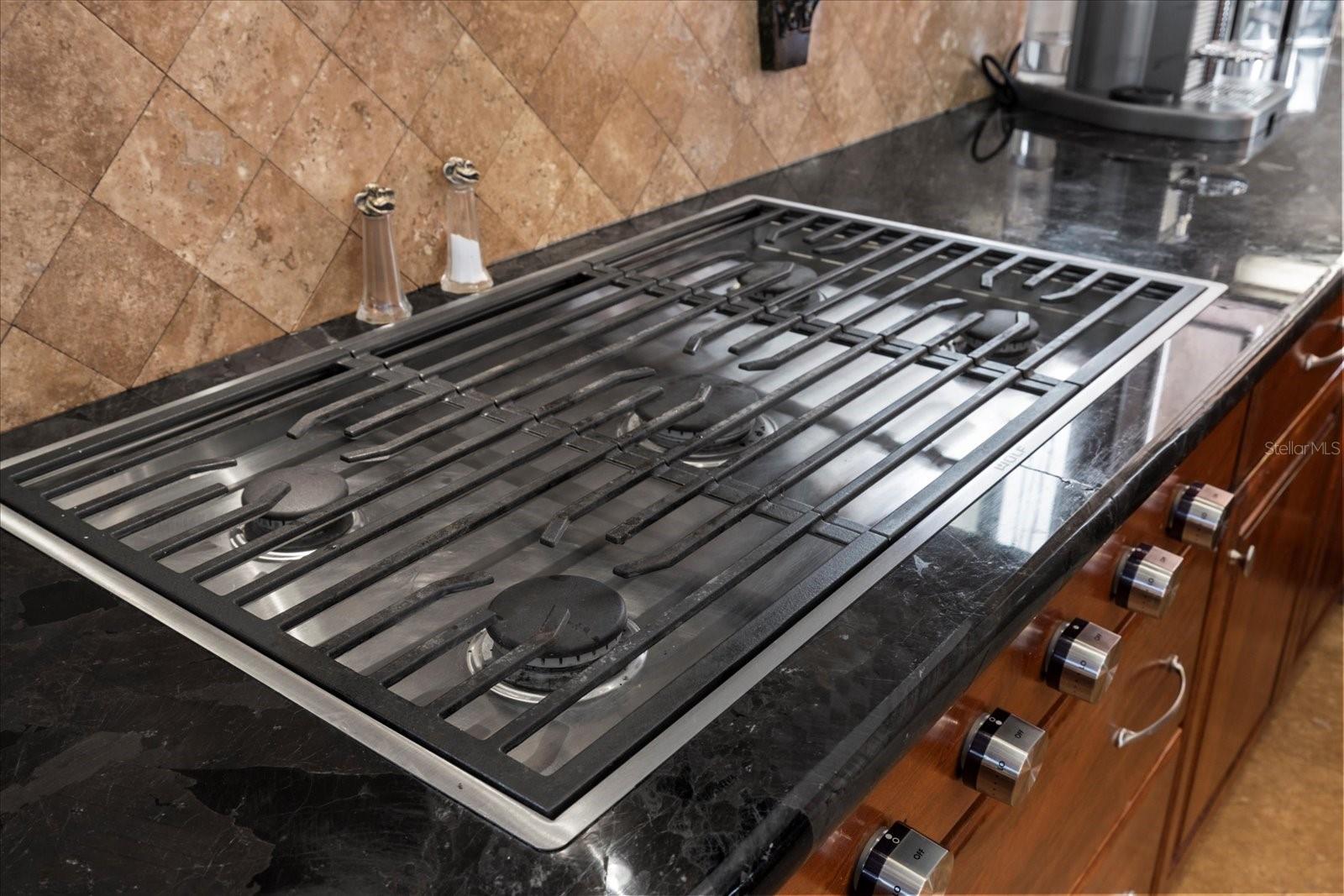 THE RESERVE OF OLD TAMPA BAY - Residential