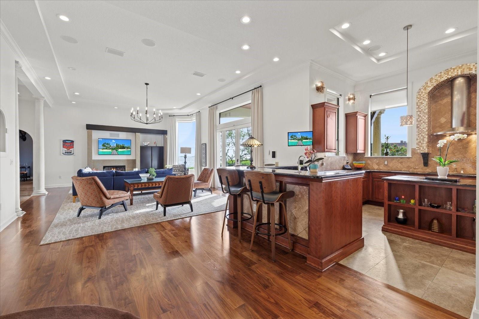 THE RESERVE OF OLD TAMPA BAY - Residential