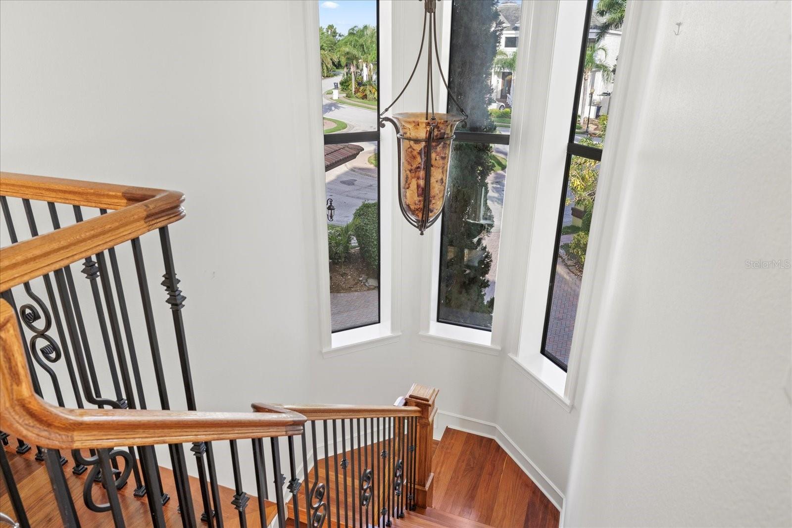 THE RESERVE OF OLD TAMPA BAY - Residential