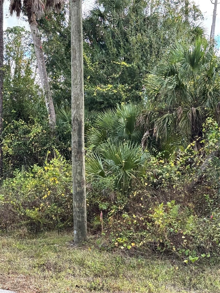 PORT CHARLOTTE SEC 022 - Land