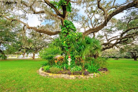 A home in ZEPHYRHILLS