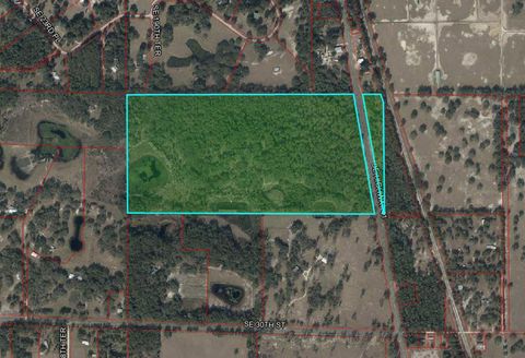 Tiny photo for 2650 SE Highway 41, Morriston, FL 32668 (MLS # OM722593)
