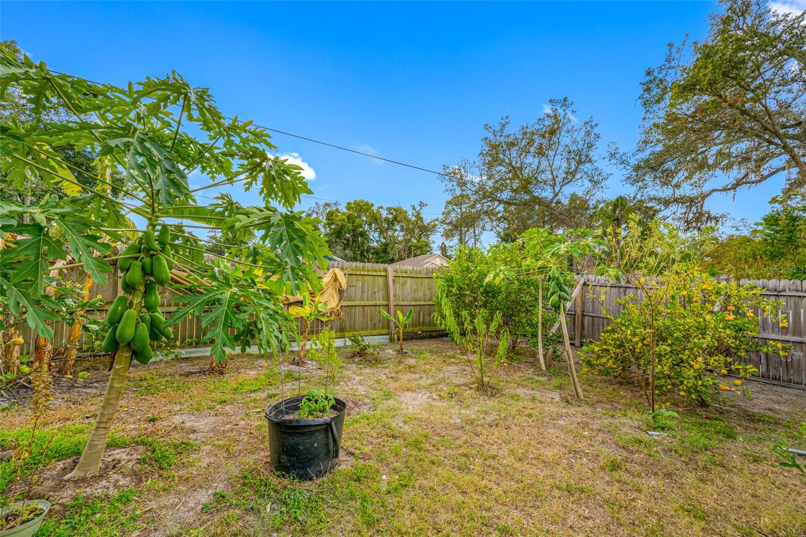 TAMPA OVERLOOK - Residential