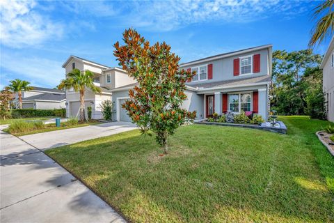 A home in RIVERVIEW