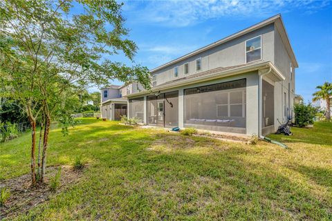 A home in RIVERVIEW