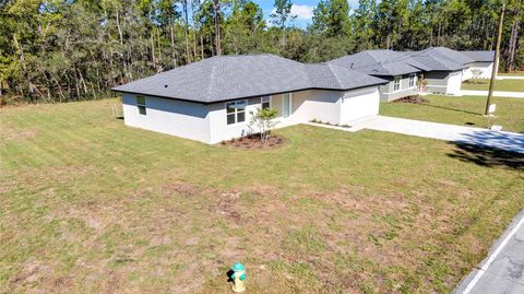 A home in CITRUS SPRINGS