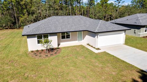 A home in CITRUS SPRINGS