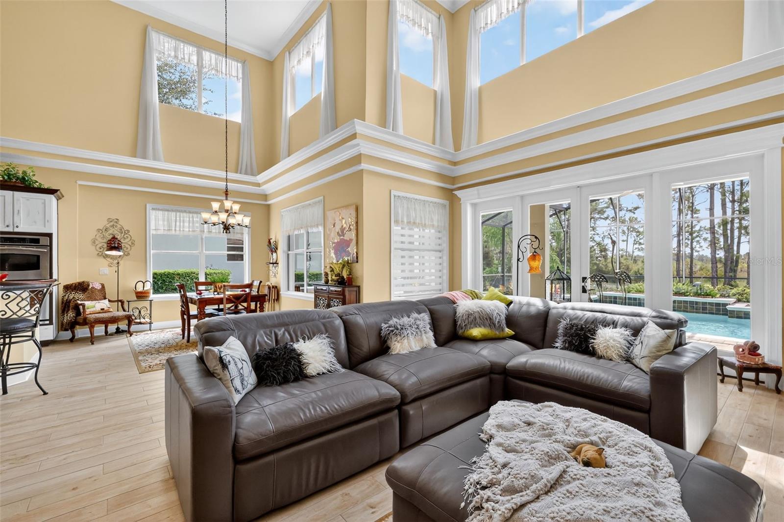 BLUE SPRING RESERVE - Residential