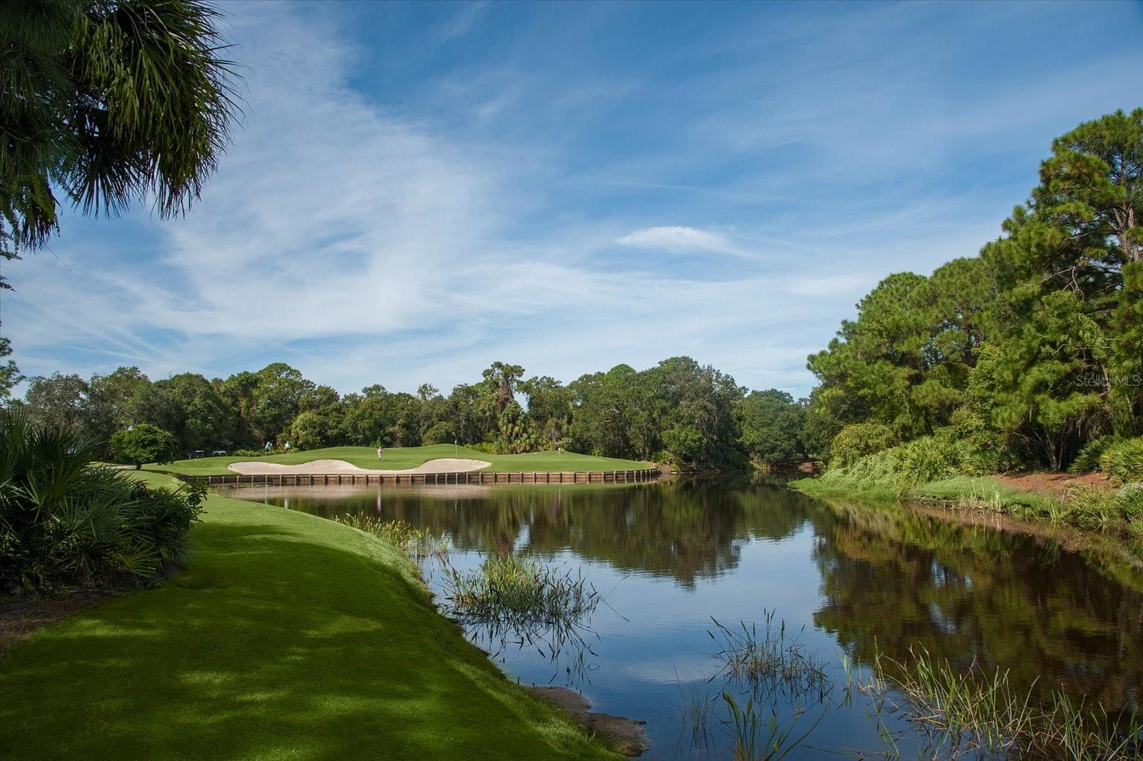 UNIVERSITY PARK - Residential