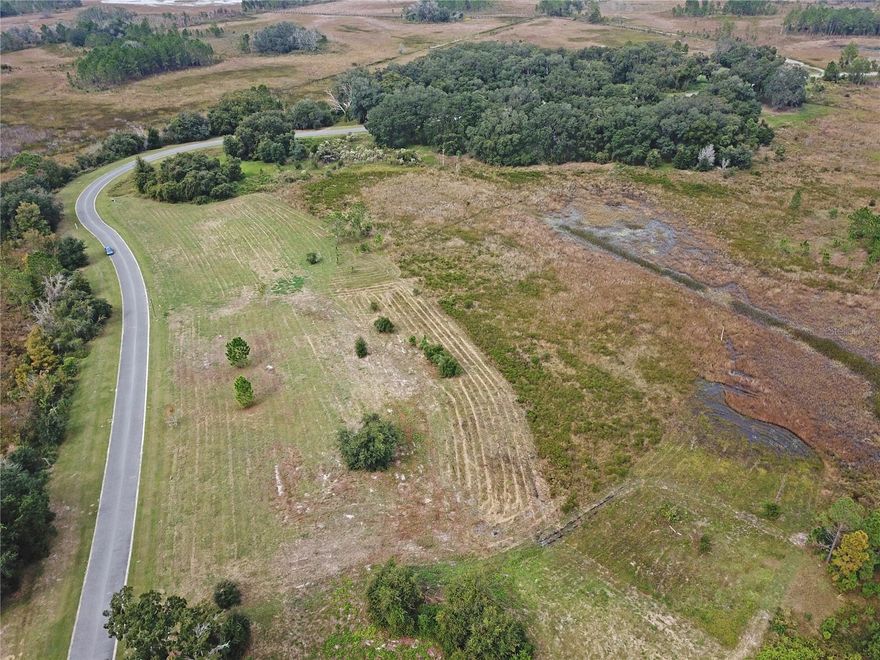 Zoned for Lake Minneola High School and East Ridge Middle School. NO TIME LIMIT TO BUILD & YOU CAN BRING YOUR OWN HOA approved BUILDER. There are several approved builders to choose from. BSR is located next to Arrowtree Reserve in Clermont but has a HOWEY IN THE HILLS mailing address. The architectural guidelines require a Low coastal traditional design, minimum 2800 sq ft under A/C and either a tile or metal roof. Blue Spring Reserve gives you the charm of Savannah and Charleston right here in Central Florida! Looking for more space in between your home and your neighbor? The road frontage on this homesite is approximately 304 ft. The survey indicates the side measurements as 186ft and 148ft to the upland buffer. The buildable area is about .84 acres. The upland buffer on each lot separates the buildable area and the protected preserve/ wetlands. All lot sizes vary. The entrance to Blue Spring Reserve is just 1 mile from turnpike exit#285 on SR19N. Only 35 min to DOWNTOWN ORLANDO. GO BACK IN TIME TO A SIMPLER LIFE! A one of a kind sanctuary with over 300 acres of Preserve. Protected Sandhill crane nesting grounds. GROVELAND CITY WATER & septic. Blue Spring Reserve is a truly unique 24 hr. gated community of custom homes situated on approximately 1/2 to 1 acre of buildable area with expansive preserve views. Conveniently located in the heart of Lake County, between Clermont & Howey-in-the-Hills. Come experience nature's paradise where the front porches welcome you and the moss draped oaks capture the breeze. Not an equestrian community. Indoor domestic pets only. Gates are closed 24 hours by appointment only. Lot sizes are approximate.