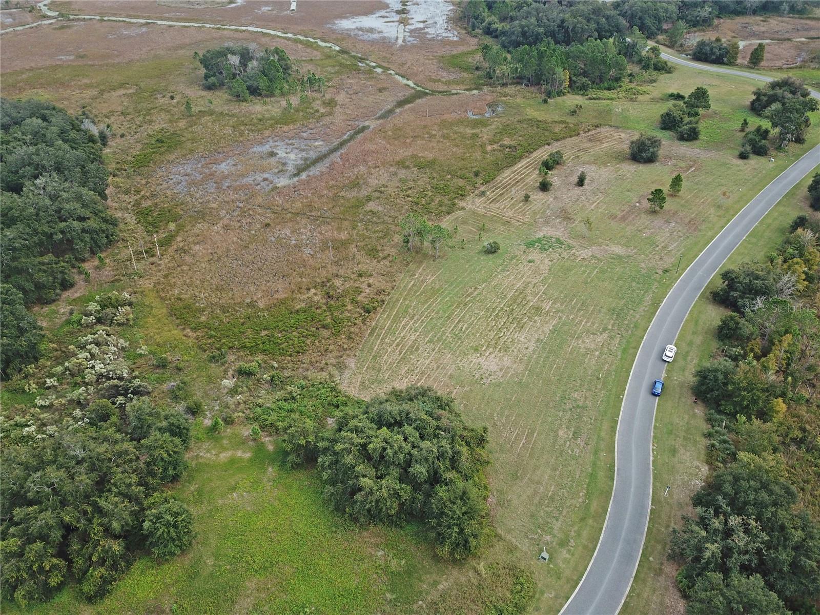BLUE SPRING RESERVE - Land