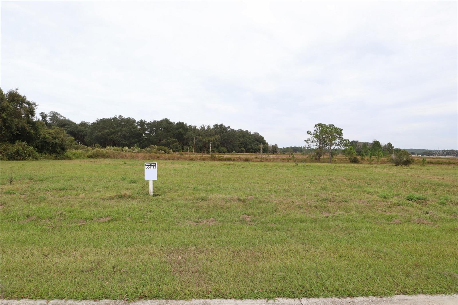 BLUE SPRING RESERVE - Land