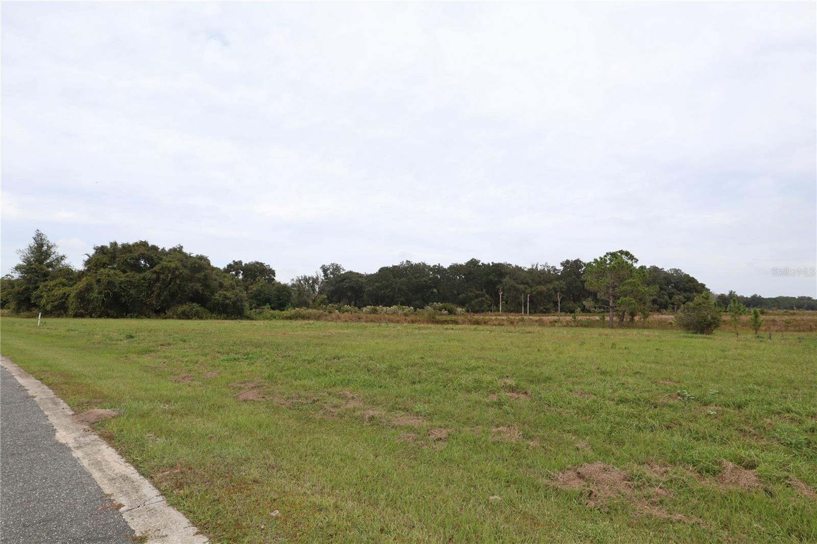 BLUE SPRING RESERVE - Land