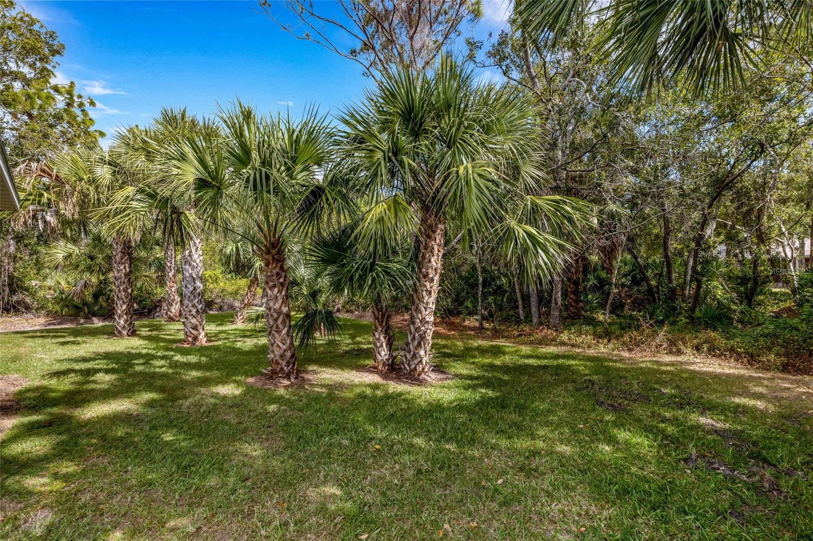 BAY VISTA BLVD ADD 03 - Residential