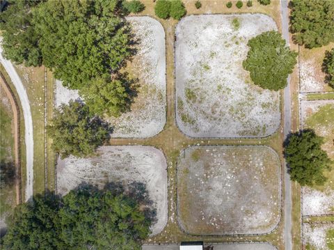 Tiny photo for 4750 SE 216th Avenue, Morriston, FL 32668 (MLS # OM704100)