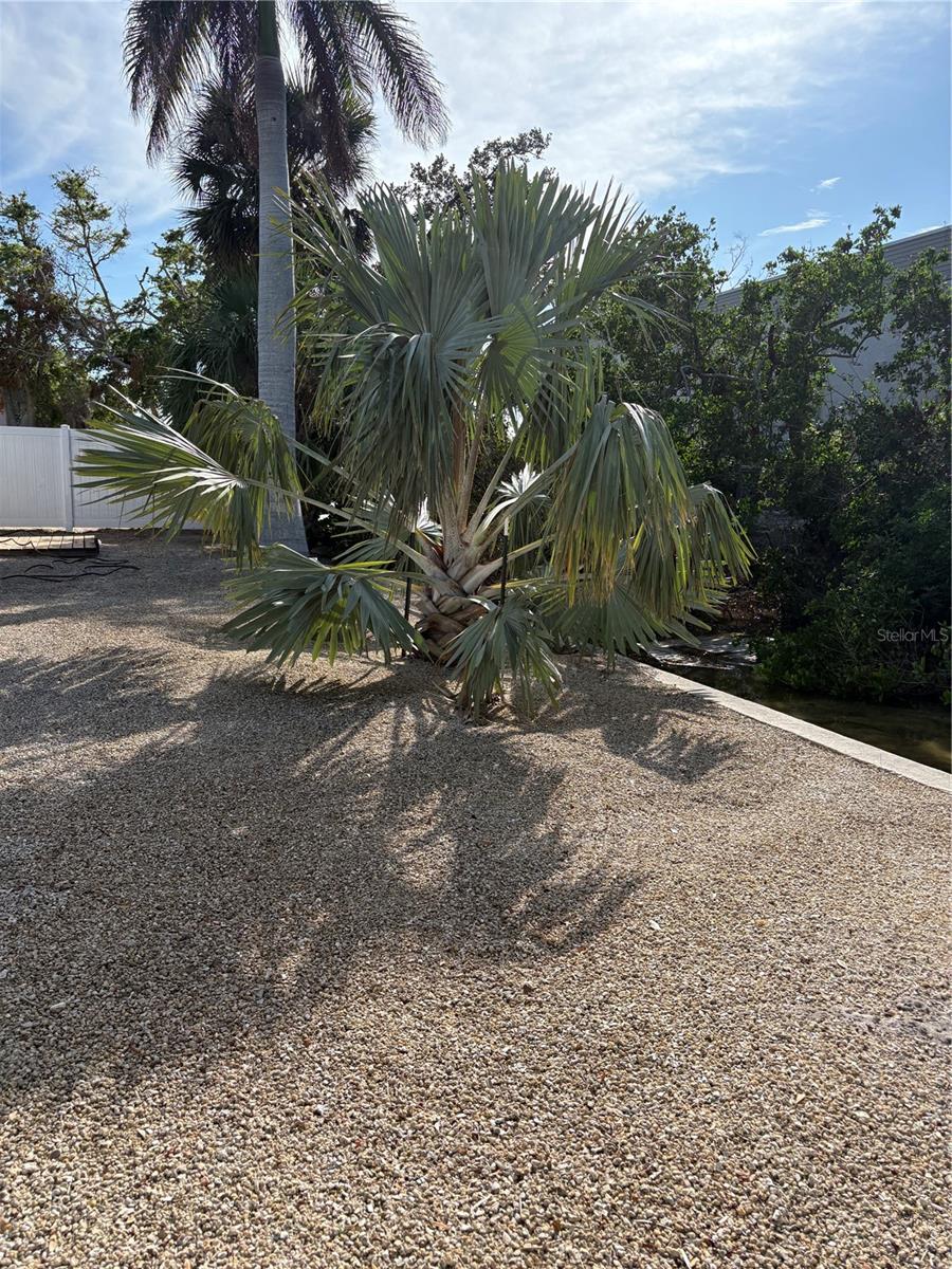 MIRA MAR EXT - Commercial Lease