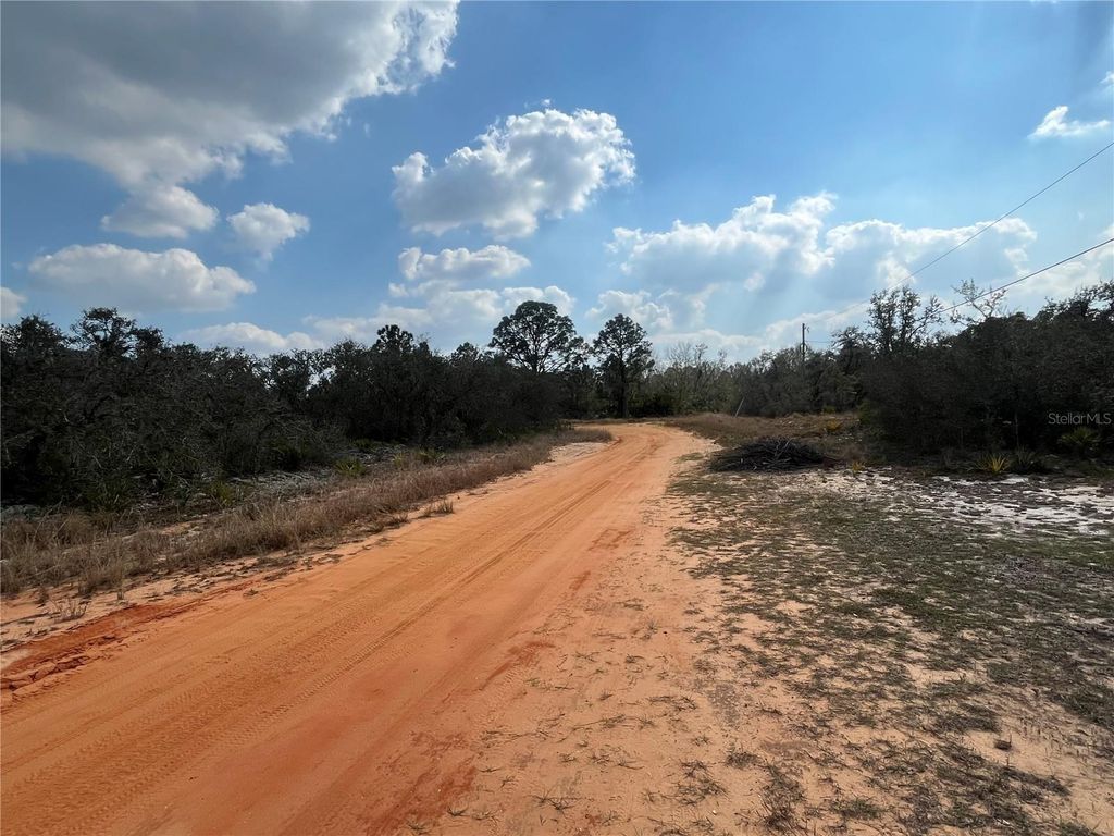 Photo of 2400 Mink Road, Avon Park, FL 33825 (MLS # OK224795)