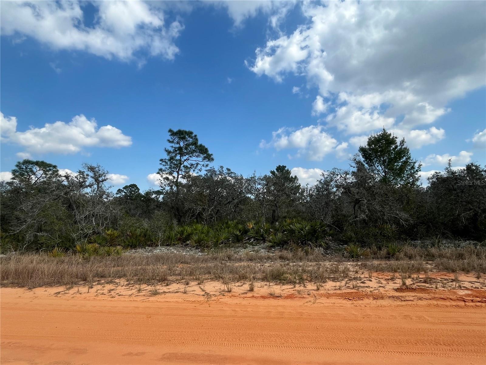 Oversized residential 0.46-acre corner lot available in the highly desirable Avon Park Lakes. Convenient to Lake Olivia that offers a walking path for evening strolls. No HOA.