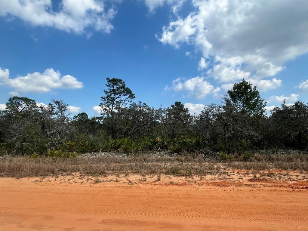 Photo of 2400 Mink Road, Avon Park, FL 33825 (MLS # OK224795)