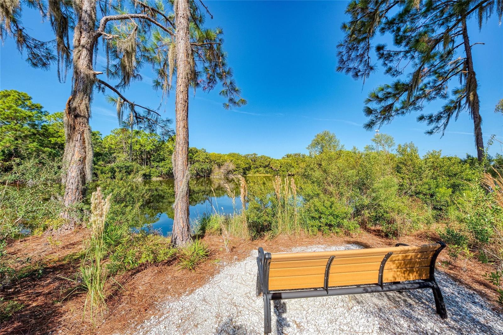 CARIBBEAN VILLAGE - Residential