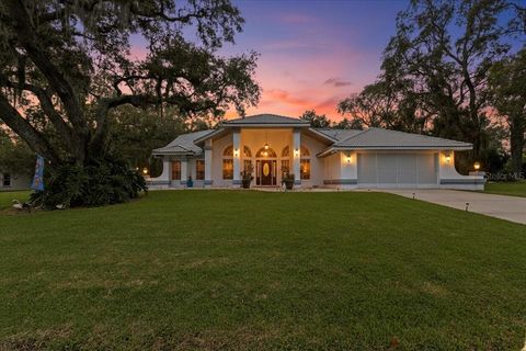Photo of 74 Forest Wood Court, Spring Hill, FL 34609 (MLS # W7879349)