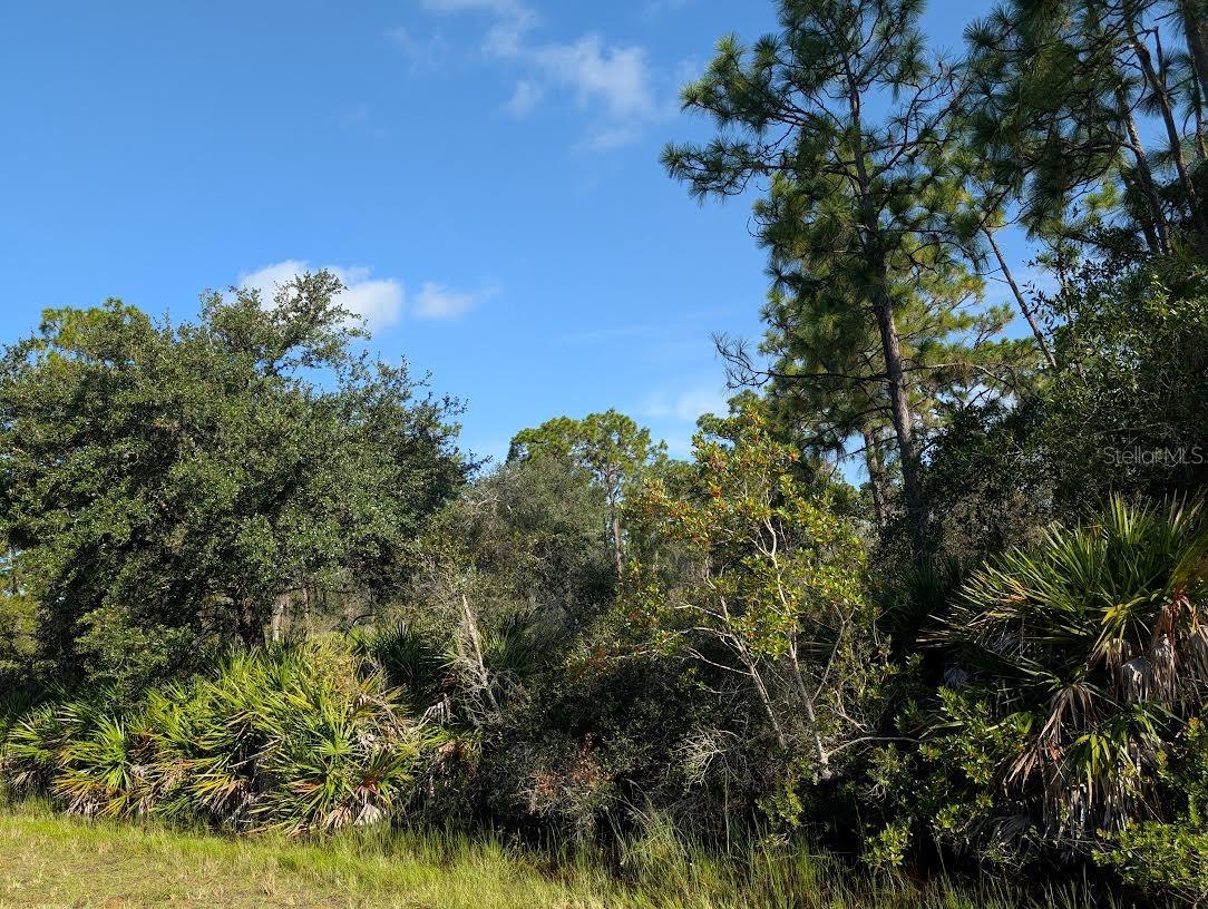 INDIAN LAKE ESTATES - Land
