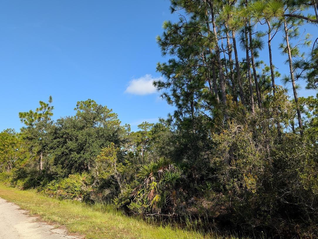 INDIAN LAKE ESTATES - Land