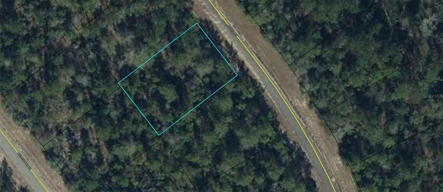 Check out and purchase this QUARTER ACRE LOT in Florida's fastest-growing city! This ELEVATED and DRY parcel offers a solid foundation; perfect for your future construction projects. Ideal for investors and buyers looking to secure an investment opportunity and capitalize on rapid SUBURBAN growth!