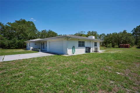 A home in INDIAN LAKE ESTATES