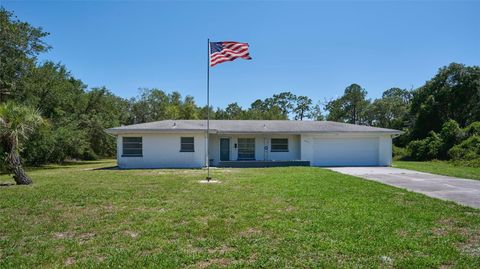 A home in INDIAN LAKE ESTATES