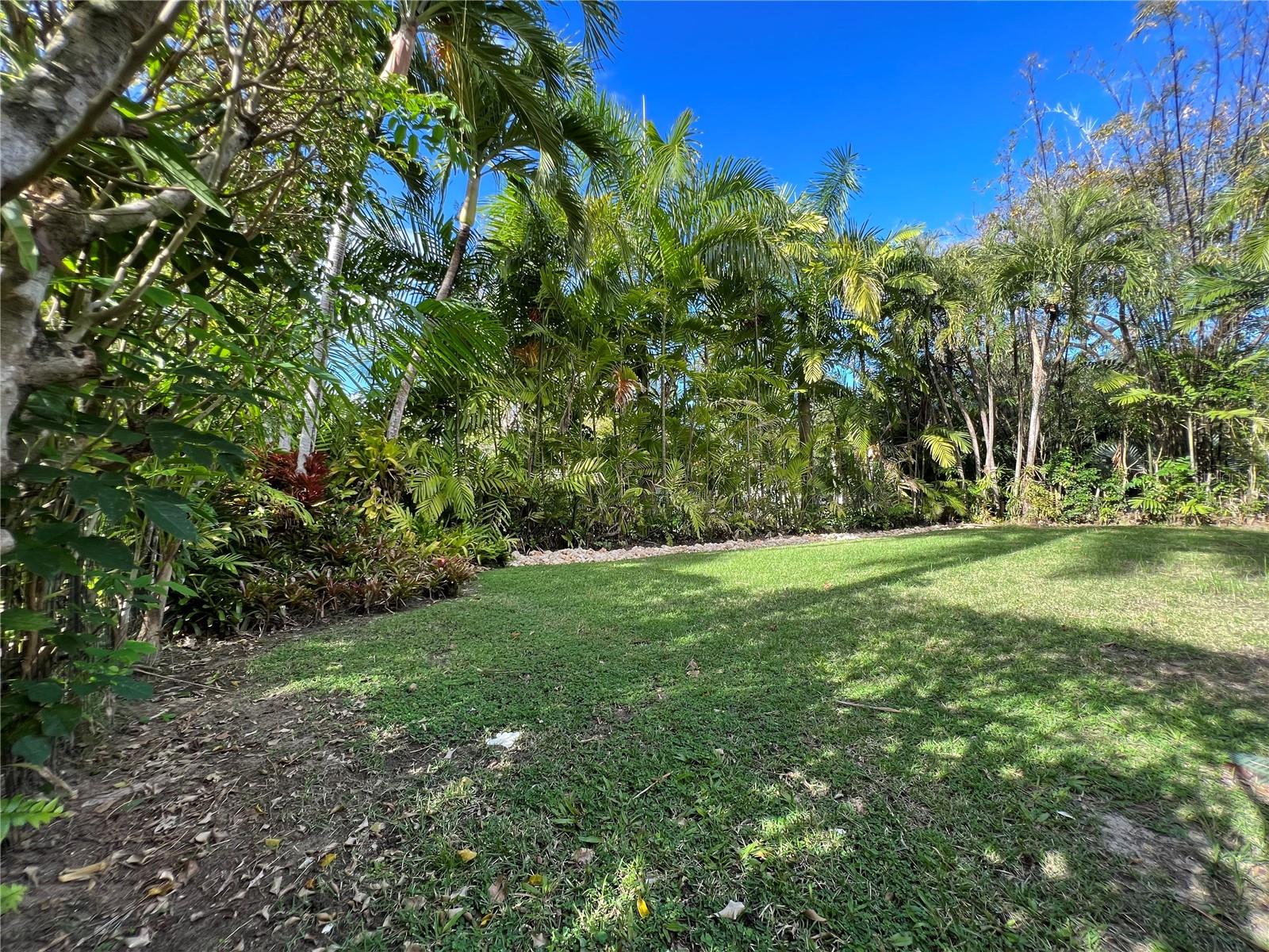 DORADO BEACH EAST - Residential