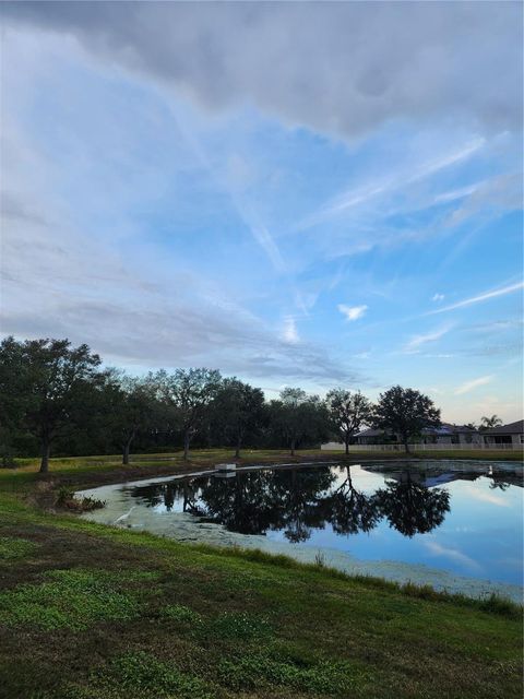 A home in TAMPA