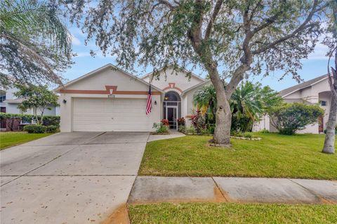 25101 HYDE PARK BOULEVARD LAND O LAKES FL 34639