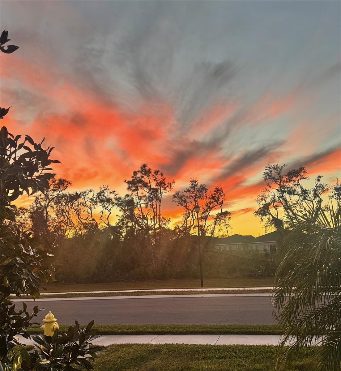 HILLWOOD PRESERVE - Residential