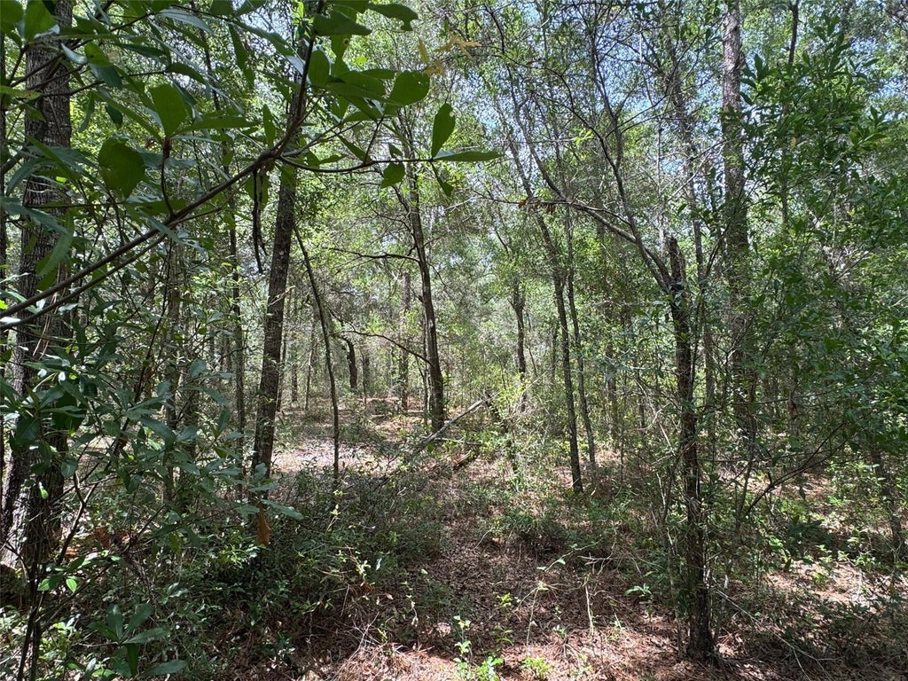 Photo of Tbd SW 59 Lane, Dunnellon, FL 34431 (MLS # OM727044)